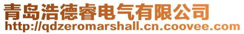 青島浩德睿電氣有限公司