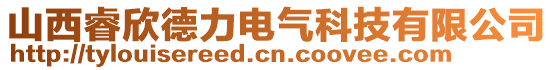 山西睿欣德力電氣科技有限公司