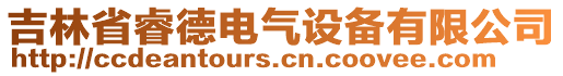 吉林省睿德電氣設(shè)備有限公司