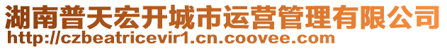 湖南普天宏開城市運營管理有限公司