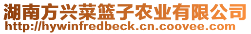 湖南方興菜籃子農(nóng)業(yè)有限公司