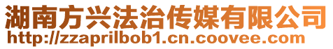 湖南方興法治傳媒有限公司