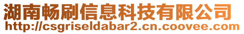 湖南暢刷信息科技有限公司