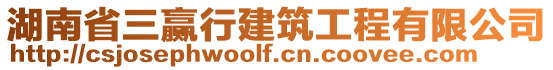 湖南省三贏行建筑工程有限公司