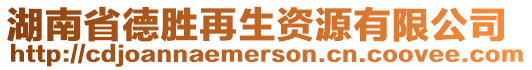 湖南省德勝再生資源有限公司