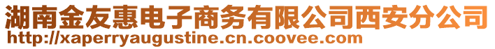 湖南金友惠电子商务有限公司西安分公司