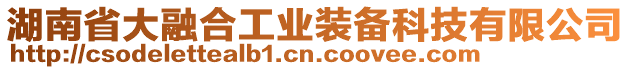 湖南省大融合工業(yè)裝備科技有限公司