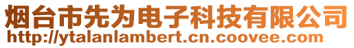 煙臺(tái)市先為電子科技有限公司