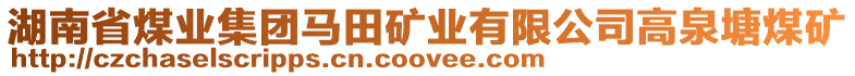 湖南省煤業(yè)集團(tuán)馬田礦業(yè)有限公司高泉塘煤礦