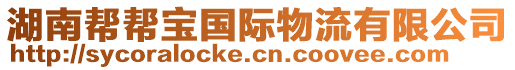 湖南幫幫寶國(guó)際物流有限公司