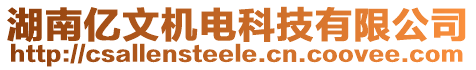 湖南億文機電科技有限公司