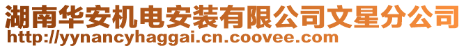 湖南華安機電安裝有限公司文星分公司