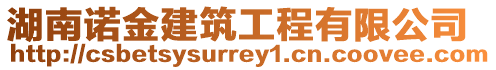湖南諾金建筑工程有限公司