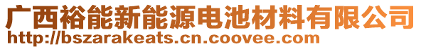 廣西裕能新能源電池材料有限公司