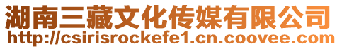 湖南三藏文化傳媒有限公司