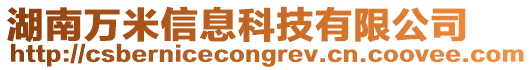 湖南萬米信息科技有限公司