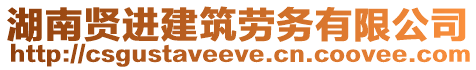 湖南賢進建筑勞務有限公司