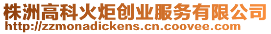 株洲高科火炬創(chuàng)業(yè)服務(wù)有限公司