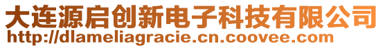 大連源啟創(chuàng)新電子科技有限公司