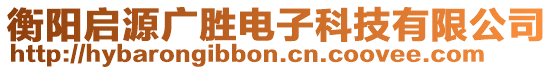 衡陽(yáng)啟源廣勝電子科技有限公司