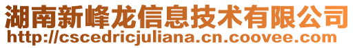 湖南新峰龍信息技術(shù)有限公司