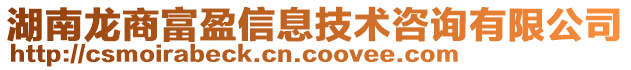 湖南龍商富盈信息技術(shù)咨詢有限公司