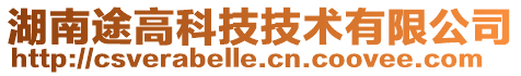 湖南途高科技技術有限公司