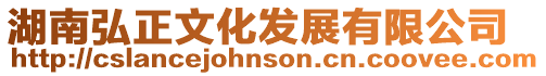 湖南弘正文化發展有限公司