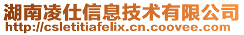 湖南凌仕信息技術(shù)有限公司