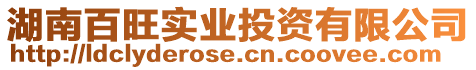 湖南百旺實(shí)業(yè)投資有限公司