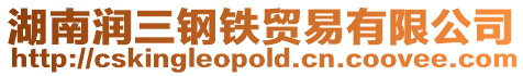 湖南潤三鋼鐵貿易有限公司