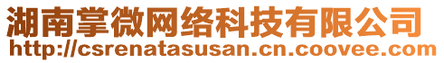 湖南掌微網(wǎng)絡(luò)科技有限公司