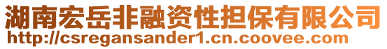 湖南宏岳非融資性擔保有限公司