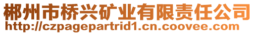 郴州市橋興礦業(yè)有限責任公司