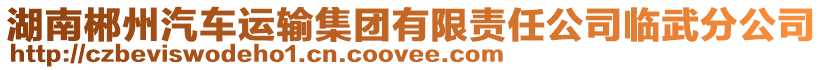 湖南郴州汽車運輸集團有限責任公司臨武分公司