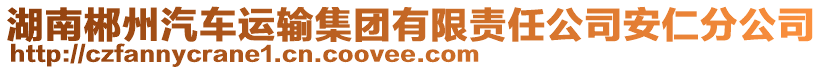 湖南郴州汽車運(yùn)輸集團(tuán)有限責(zé)任公司安仁分公司