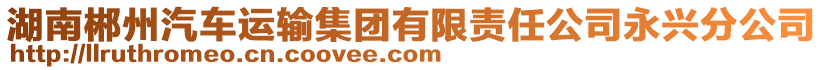 湖南郴州汽車運輸集團有限責任公司永興分公司