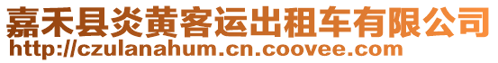 嘉禾縣炎黃客運出租車有限公司