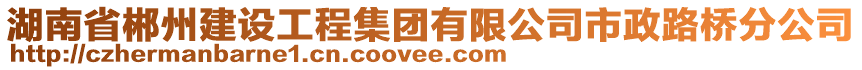 湖南省郴州建設工程集團有限公司市政路橋分公司