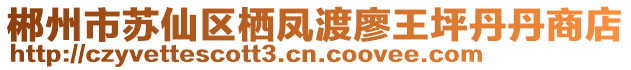 郴州市苏仙区栖凤渡廖王坪丹丹商店