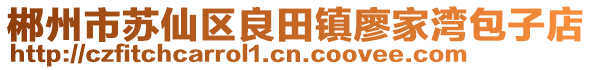 郴州市苏仙区良田镇廖家湾包子店