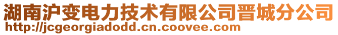 湖南滬變電力技術(shù)有限公司晉城分公司