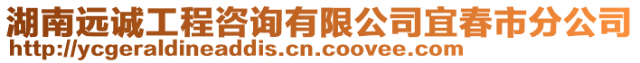 湖南遠誠工程咨詢有限公司宜春市分公司