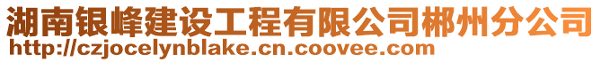 湖南銀峰建設工程有限公司郴州分公司