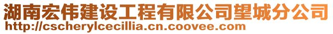 湖南宏偉建設(shè)工程有限公司望城分公司