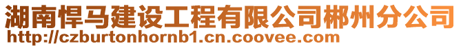 湖南悍馬建設工程有限公司郴州分公司