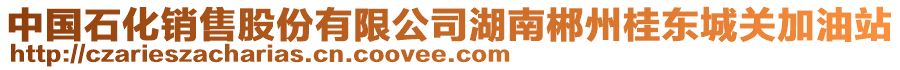 中國(guó)石化銷(xiāo)售股份有限公司湖南郴州桂東城關(guān)加油站