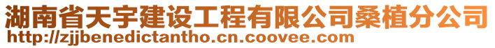 湖南省天宇建设工程有限公司桑植分公司