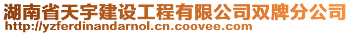 湖南省天宇建设工程有限公司双牌分公司