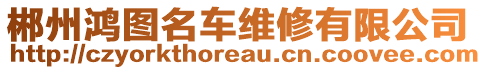 郴州鴻圖名車維修有限公司